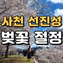 선진공원 주차장 | 사천 선진리성 벚꽃 후기｜경남 벚꽃 명소 축제 주차 꿀팁