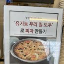 김포카페] 다육이 체험, 식물카페 :: 장수상회