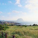 던킨도너츠제주송악산점 | 제주 송악산 둘레길(맛집/주차장/카페/체험) 총정리