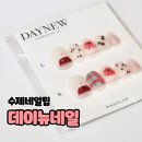 젤네일 쇼핑몰 데이뉴네일 체리콕 수제네일팁