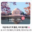 EG투어버스 E코스 | 뉴욕 버스투어 예약 :: 2층버스 타고 즐기는 나이트 야경 코스 알아보기