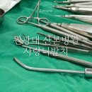 원광대학교치과대학산본치과병원 | 원광대 산본병원 사랑니 발치 후기(과정, 비용 정리)