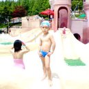 캘빈 Daum카페