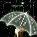 십이월 이미지