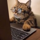 뷰테스의원 이미지