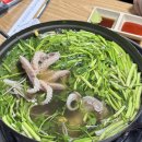 먹물촌 | 인덕원맛집 | 안양 쭈꾸미샤브샤브 먹물촌
