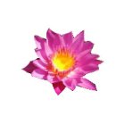 창대공인중개사사무소 이미지