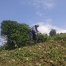 신진주역세권 희망공원 이미지