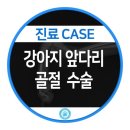 강동24시 SKY 동물의료센터 이미지