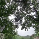 나를 탐구하는 지혜 명리학 티스토리