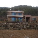 영심이네 이미지