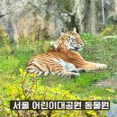 평화대공원 | 과천 서울대공원 동물원 리프트패키지 입장권 관람 후기 코스 추천