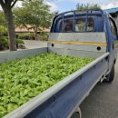 천북농업협동조합 이미지