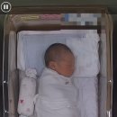 예스인터넷 | [인터넷 작명소 후기]예스네임(내돈내산)