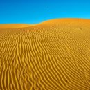 청구농장 이미지