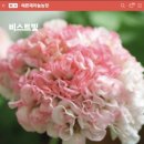 J.K 농장 이미지