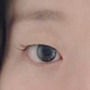 눈빛안경원 | 콘택트렌즈 직구보다 저렴한 렌즈링크! 앤365 안도라 초코 픽업 후기