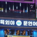 맥주바켓안산 | [안산] 고잔동연말모임 노르웨이 생연어 육회 육사시미 한우 뭉티기 대방어 맛집 육회야문연어 안산점