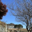 시골막걸리 | 남해 다랭이마을에서 부모님모시고 맛집 시골할매막걸리 다녀온 후기 주차장 포함