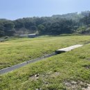 한솔 흑염소 이미지