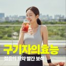 건강나무열매(줄기관) 태권도장 | 구기자의효능 구기자차 꾸준히 끌이기 요약