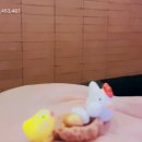 니꼬내꼬 Daum카페