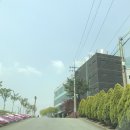 조일골프랜드 이미지