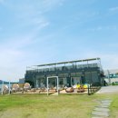 호랑호랑 이미지