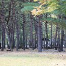 진부(오대산)관광농원 이미지