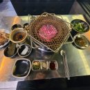 동백양과