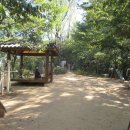 수향주유소 이미지