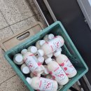 제주감귤농업협동조합위미지점 | 🐮제주요거트 투어 (제주목장 요거트 정리 끝판왕🔥)