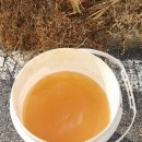 죽양대로 이미지