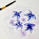 몽발관 | 캔손몽발 수채화패드 솔직 후기♥ 초보부터 프로까지 만족하는 수채화 스케치북