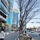 시지하나로약국 이미지