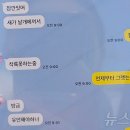 여객기 탑승객 &#34;새가 날개에 껴서 착륙 못하는 중&#34; 문자 후 연락두절 이미지