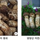 우림수산