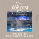 아쿠아마케팅 | 아이랑 도쿄 여행 맥셀 아쿠아파크 돌고래쇼 관람 후기