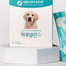 제이원피앤지 네이버블로그