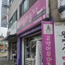 문남초등학교 | [연수동 고양이미용] 실력있고 가성비 좋은 무마취 미용 &#34;야옹아놀자&#34;!
