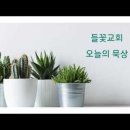 2026년 07월 03일 (금) 제목 : 신실하신 하나님의 언약 오늘의 말씀 : 열왕기상 8:15-52 이미지