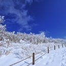 삼양목장 이미지