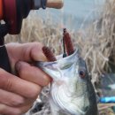 김해농협서김해주유소 이미지