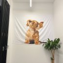 서촌동 댕번지 이미지