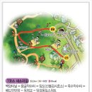 백양산 나들숲길 이미지