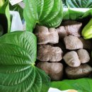 담비농장 이미지