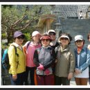 탁구(오후)중급 이미지