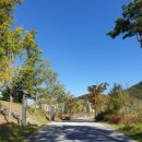 안경산책 이미지