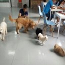 사랑방멀티숍