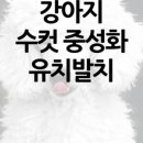 동물병원예지 이미지